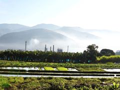 -汤锅大王(新平曹苏黄牛汤锅有限公司)