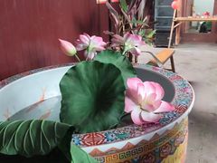-蒋氏故居