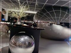 -CHIC1699远洋私厨