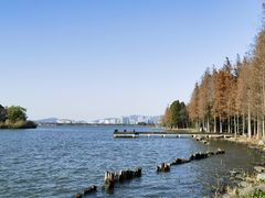 -长广溪湿地公园