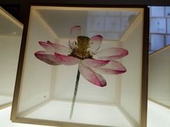 -侵华日军南京大屠杀遇难同胞纪念馆