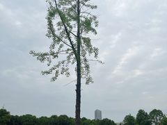 -成都南湖公园