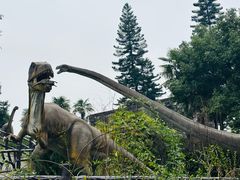 -自贡恐龙博物馆