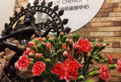 -成都阿难陀艾扬格瑜伽中心