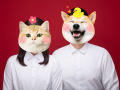 -bobo高端证件照工作室(三元桥店)