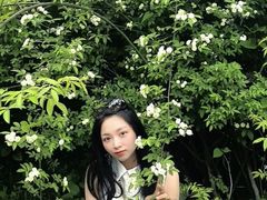 -花溪公园