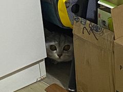 -联合动物医院(光谷诊疗中心)