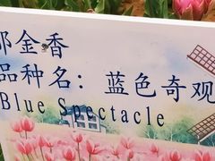 -济南植物园