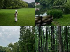 -上海共青森林公园