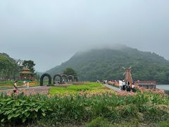 -广州市石门国家森林公园