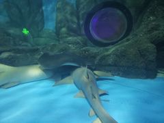 -常州海昌海洋探索馆