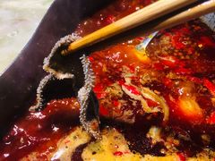-董眼镜火锅(洪崖洞总店)