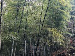 -方岩风景区