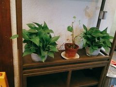 -宋园·金宴浙鲜馆(静安店)