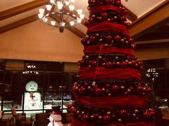 -长白山万达喜来登度假酒店