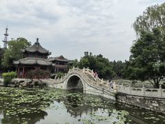 -莲池书院博物馆