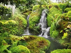 -Chom Cafe and Restaurant