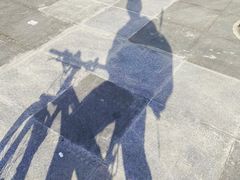 -临港奉贤体育中心