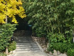 -清雅臻品·竹林院落·新派青岛菜(崂山店)