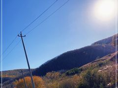 -塞罕坝国家级自然保护区