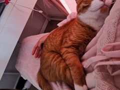 -静 泰养生(黄金城道店)