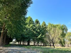 -盐官日光域房车营地·有盐餐厅