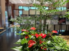 -黔蘑菇四季餐厅(观山湖店)