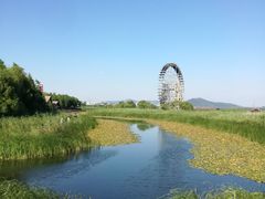 -太湖湖滨国家湿地公园-停车场