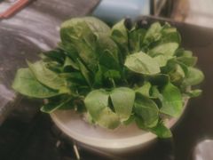 -王家渡火锅(金宝汇店)