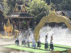 -西双版纳原始森林公园