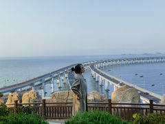 -星海湾跨海大桥