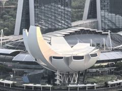 -新加坡瑞士史丹福酒店