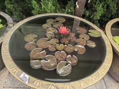 -博山正觉寺