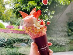 小莓好丹麦筒冰淇淋-哈根达斯(宁波和义店)