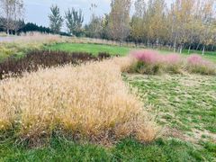 -汉长安城未央宫国家考古遗址公园