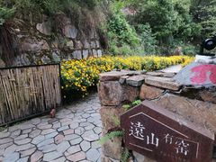 -远山有窑