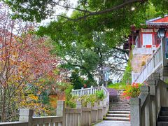 -乌山风景区