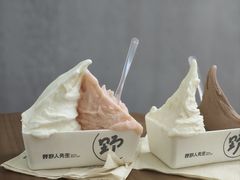 -野人先生现做冰淇淋(北京悠唐购物中心店)