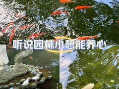 -鸡鸣寺