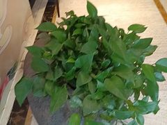 -洛阳宴·洛阳菜(南昌路店)