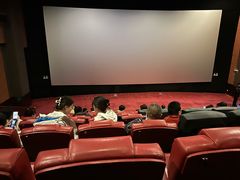 -卢米埃影城(住总万科杜比全景声激光店)