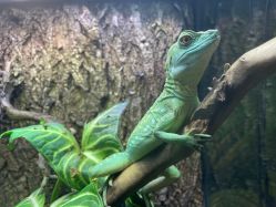 -酷嗒动物文化乐园(cutezoo西溪乐天城店)