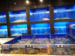 水产区-金时代顺风大酒店(临港百联店)