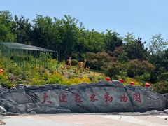 -大连森林动物园