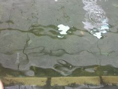 -小象钓虾·营地烧烤(洛溪店)