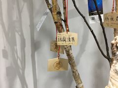 -成都失恋馆