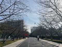 -同济大学本部学苑饮食广场