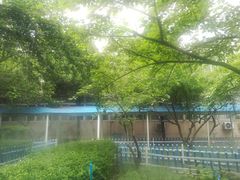 -中国人民解放军第九医学中心(306医院)