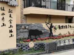 -观澜山水田园
