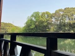 -张鸟园农家乐(张鸟园店)